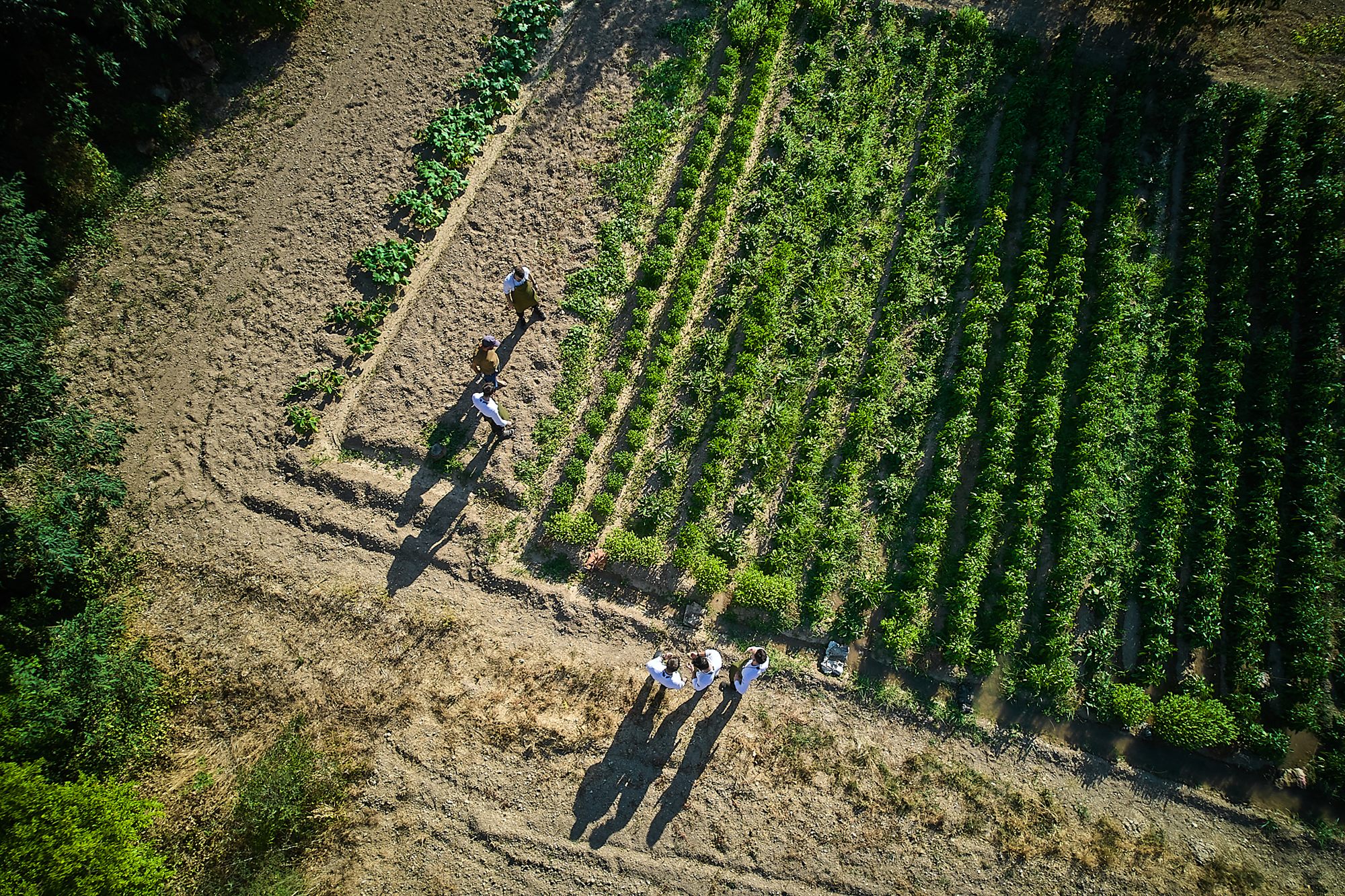 Aerial view of oba-'s kitchen garden in the Júcar valley