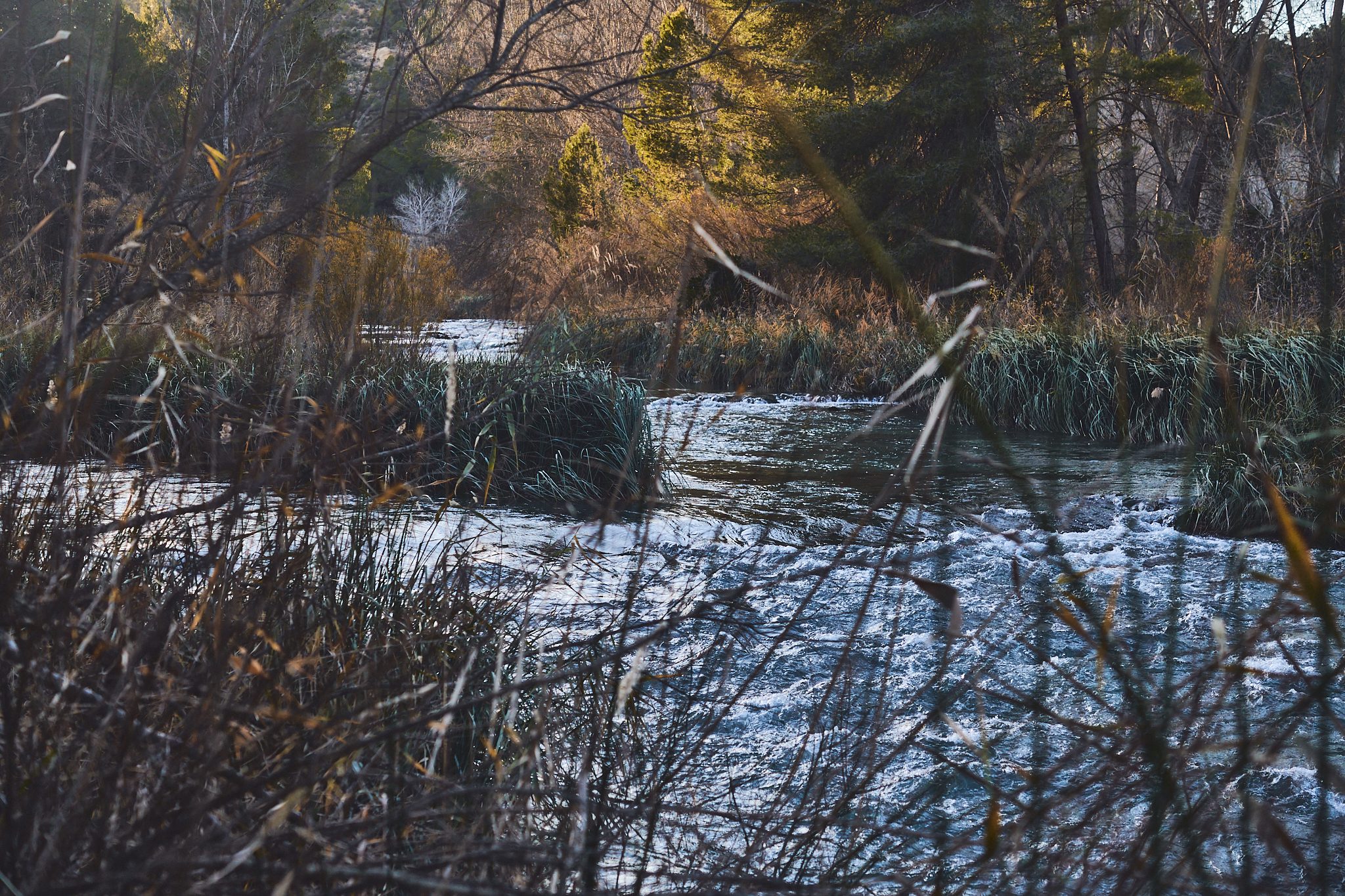 Río entre carrizos en la Manchuela, el paisaje que inspira la cocina de oba-