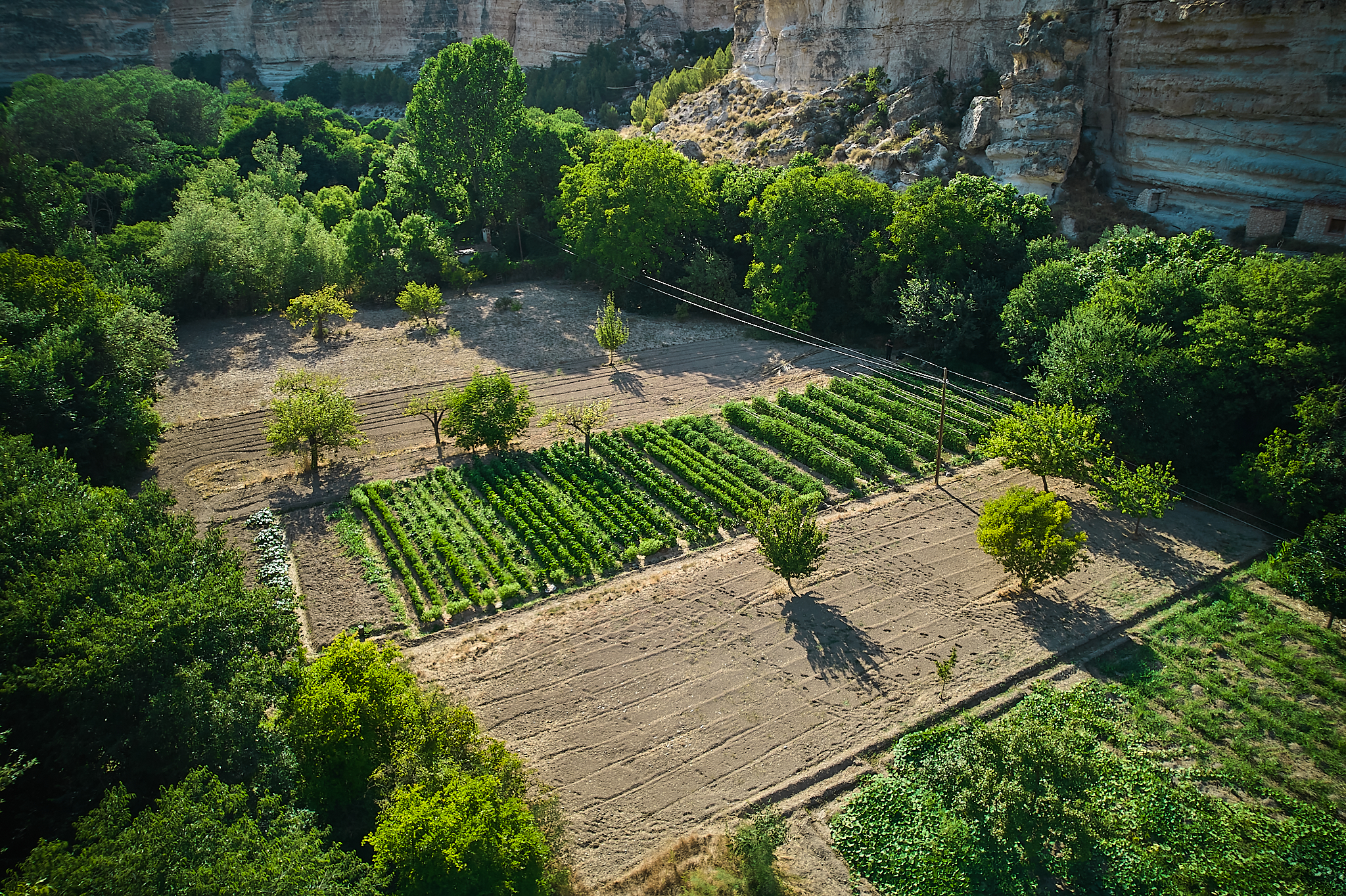 Huerto oba-