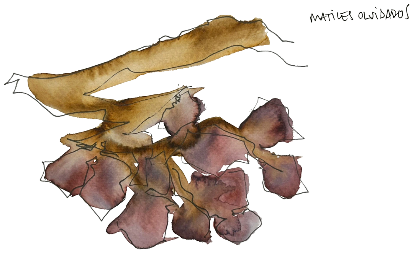 Ilustración — Matices Olvidados