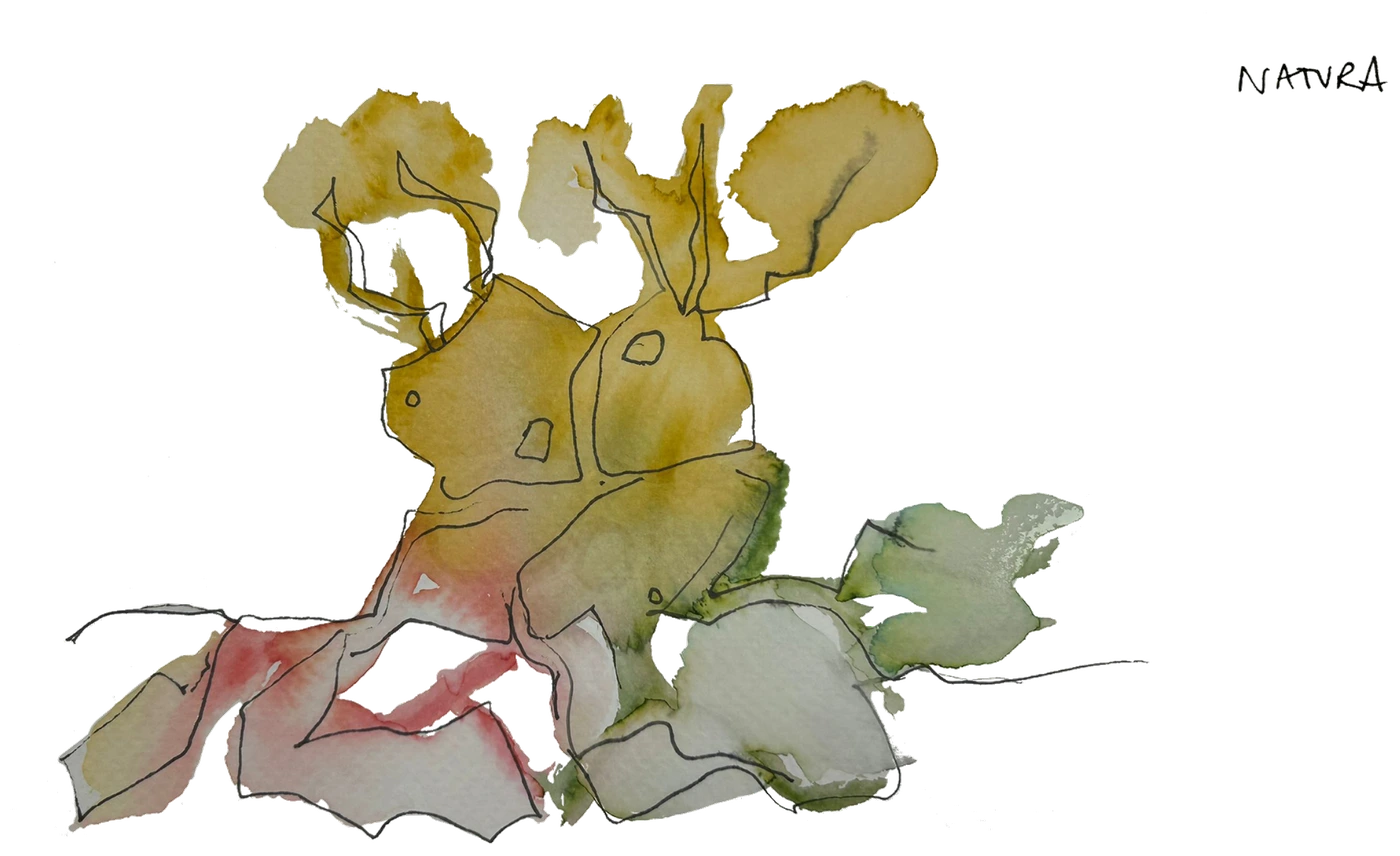 Ilustración — Natura
